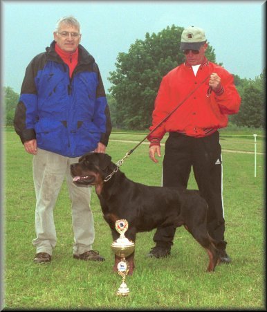 Jeneck's Punch, rottweiler males