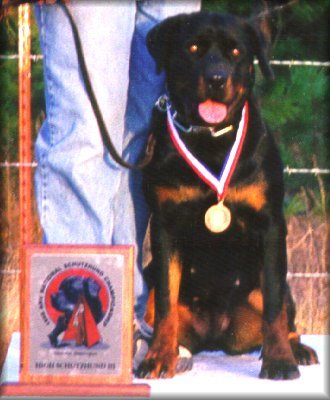Jeneck's Zara, rottweilers schutzhund, rottweiler brood bitches